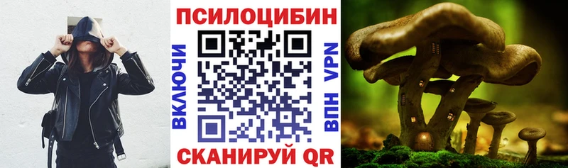 где можно купить наркотик  Абинск  Галлюциногенные грибы MAGIC MUSHROOMS 
